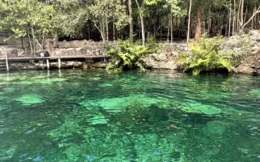 d4fd69a98bbfc7af9e50bf3bee792812718bfc2f